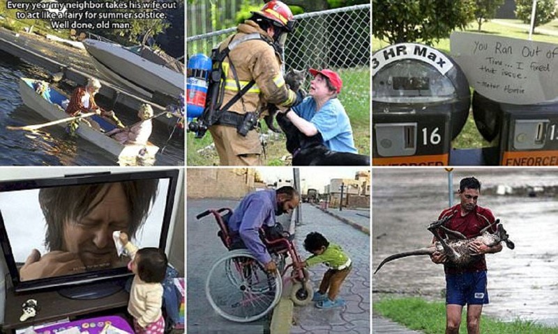 Эти снимки, рассказывающие о доброте и бескорыстии, растопят ваше сердце! (24 фото + 1 видео)