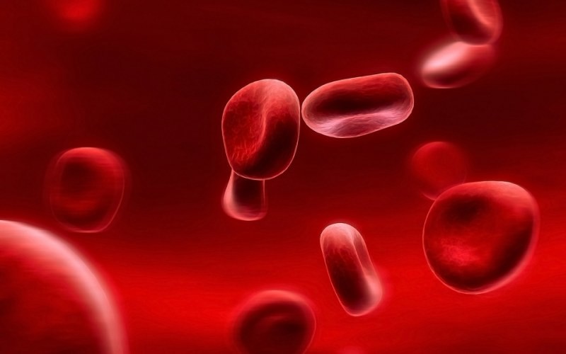 Группа крови может рассказать о тебе больше, чем ты думаешь (1 фото)