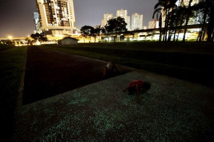 Светящийся тротуар в Сингапуре (7 фото)