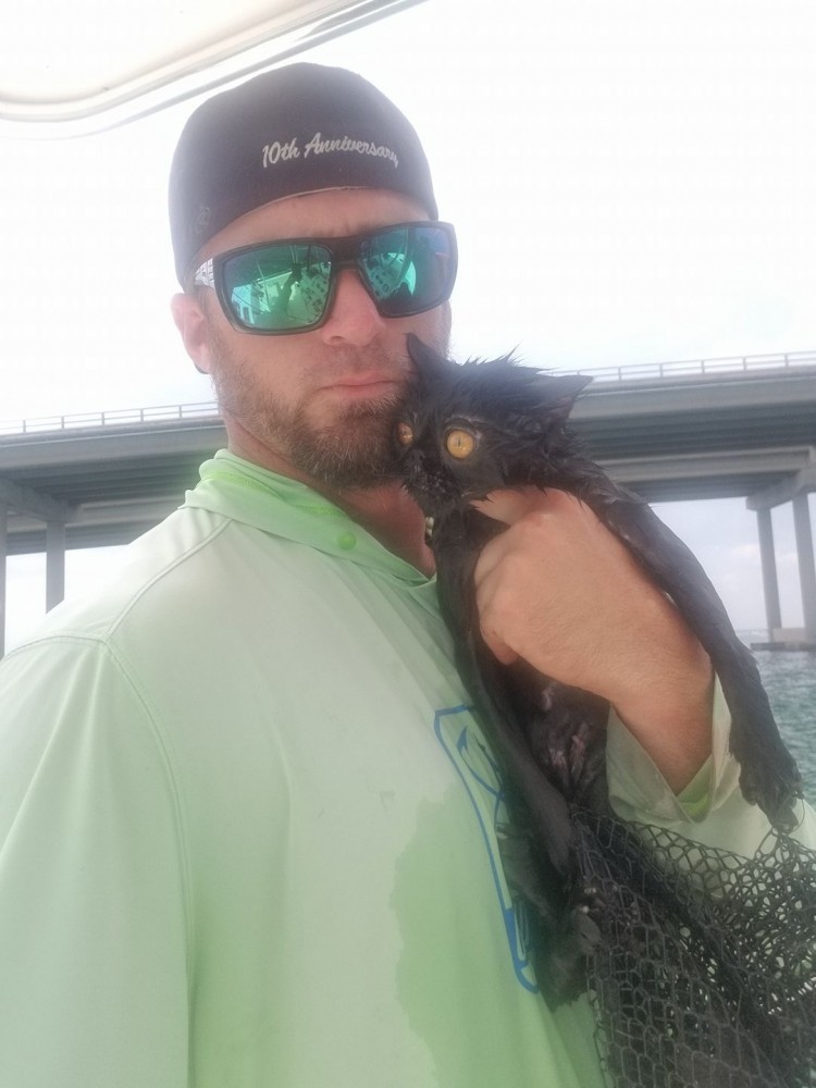 Во флориде капитан яхты спас тонущего кота (1 фото)