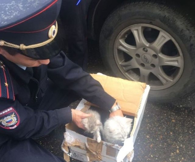 В Казани эвакуировали жилой дом из-за подозрительной коробки (4 фото)
