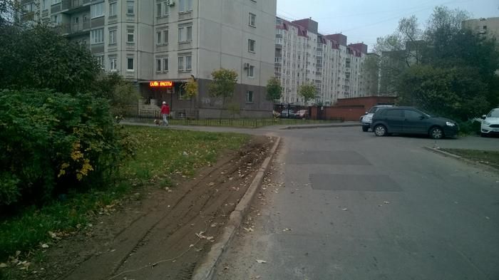 В Санкт-Петербурге во дворе одного из домов идет война за газон (12 фото)