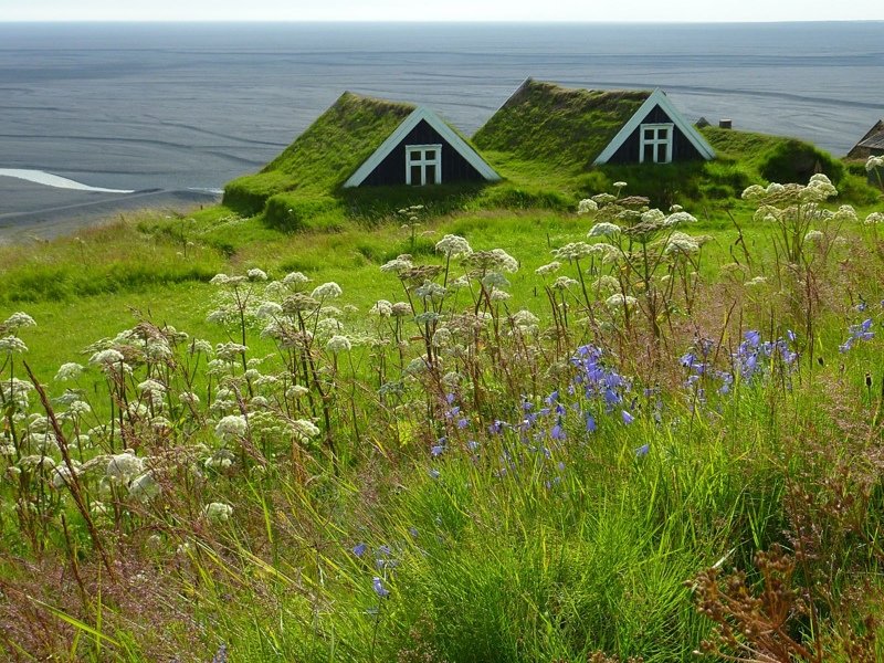 Самая экологичная кровля: мох и газоны на крышах домов (29 фото)