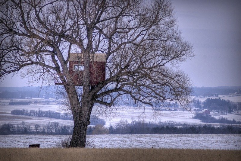Домики на дереве со всех уголков планеты (30 фото)