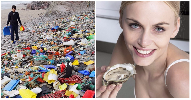 Любители морепродуктов съедают до 11 тысяч частиц пластика в год (3 фото)