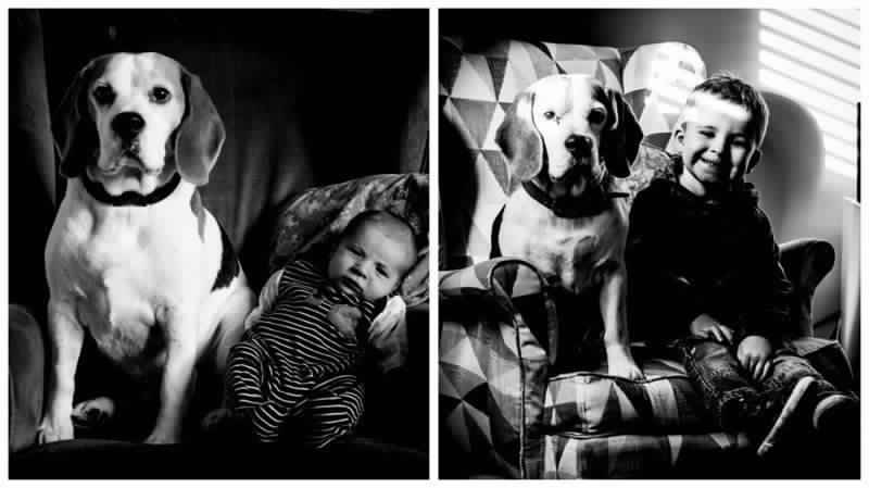 Фотопроект Мальчик и собака (19 фото)