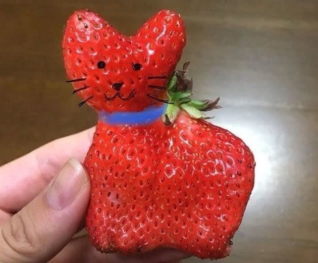 В Японии съели клубнику-кошечку (33 фото)