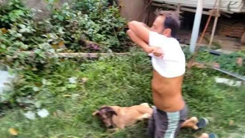 Мужчина не пожалел свою футболку, чтобы спасти собаку