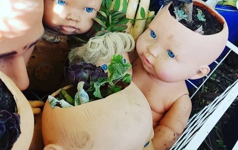 Напугай соседей - посади растения в голове куклы-младенца (19 фото)