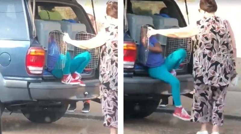 В США арестовали 62-летнюю женщину, которая перевозила своих внуков в собачьих клетках (4 фото + 1 видео)