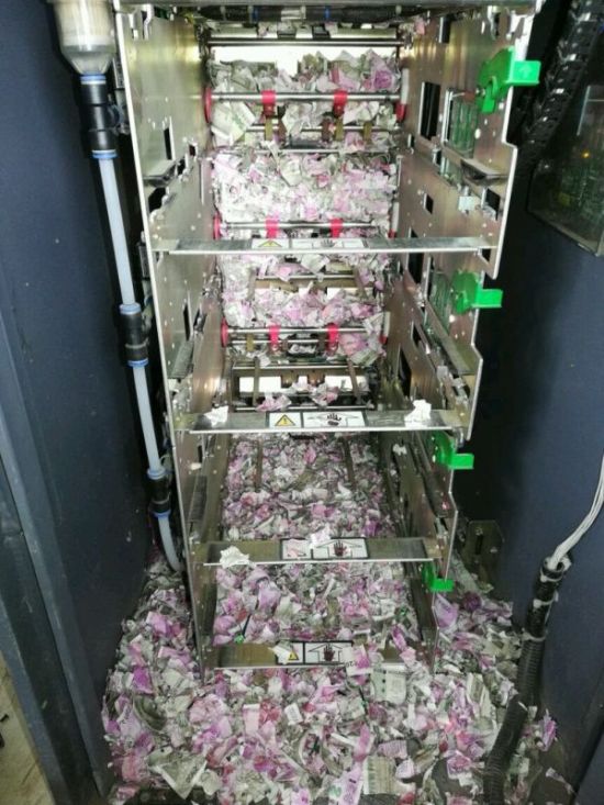 В Индии крысы уничтожили более миллиона рупий (2 фото)