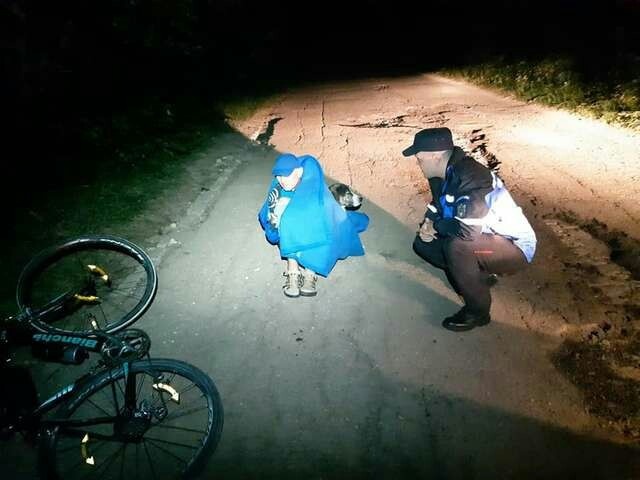 Бродячий пес всю ночь согревал раненного мужчину, который упал с велосипеда в горах (3 фото)