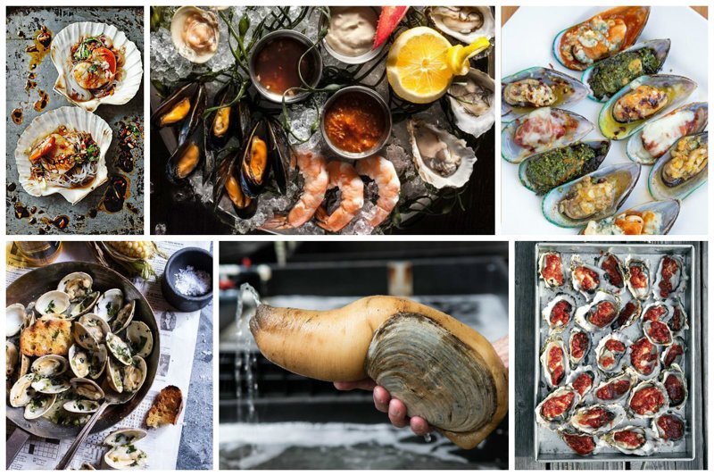 Советы по поеданию моллюсков, улиток и прочих вкусных гадов в ракушках (29 фото + 1 видео)
