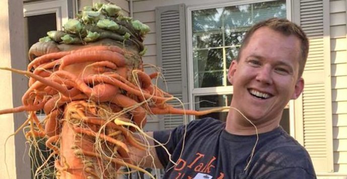 Фермер-любитель вырастил самую большую в мире морковку (5 фото)