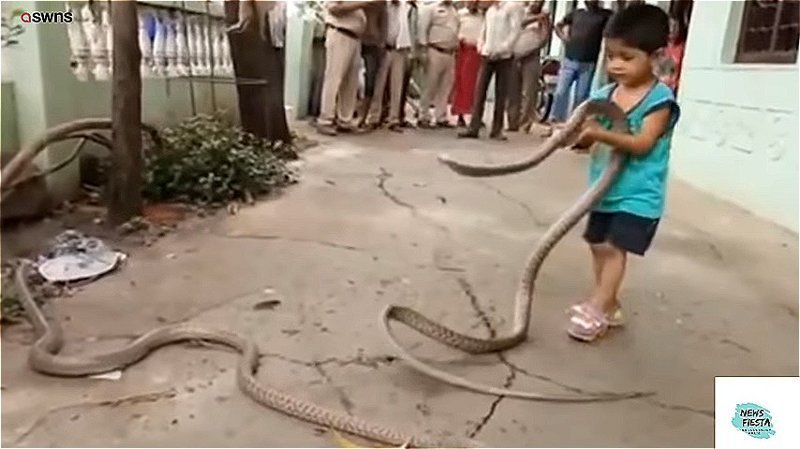 Маленький мальчик играет со змеями (4 фото + 1 видео)