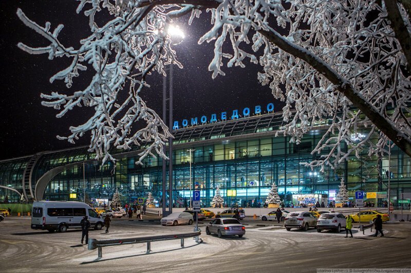 Аэропорт Домодедово (34 фото)