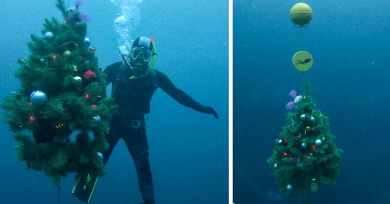 Подводную новогоднюю елку поставили под Казанью (5 фото + 1 видео)