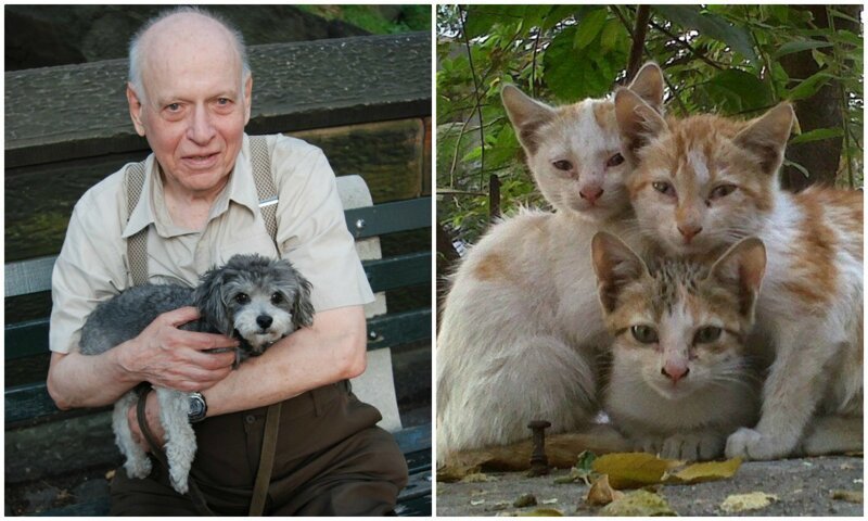 Внук поделился списком животных, которых дедушка приносил домой на протяжении 67 лет (5 фото)