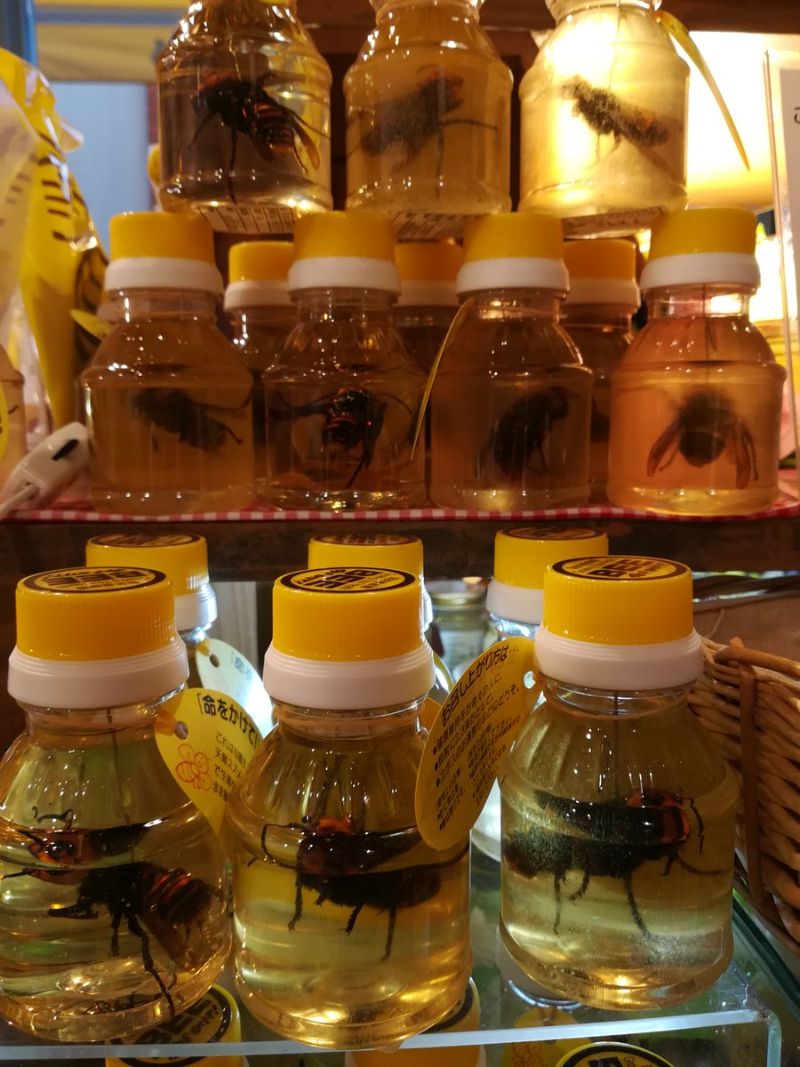 Мед из Японии с особым ингредиентом, который есть не рекомендуется (7 фото)
