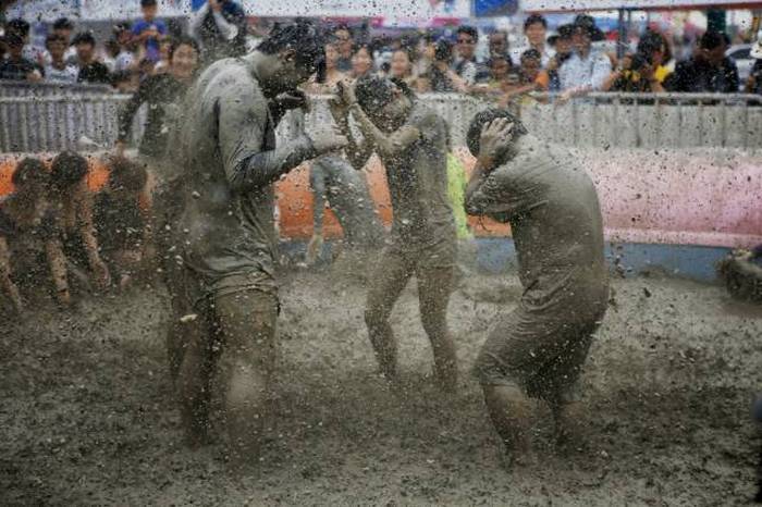 Boryeong Mud Festival –     (28 )