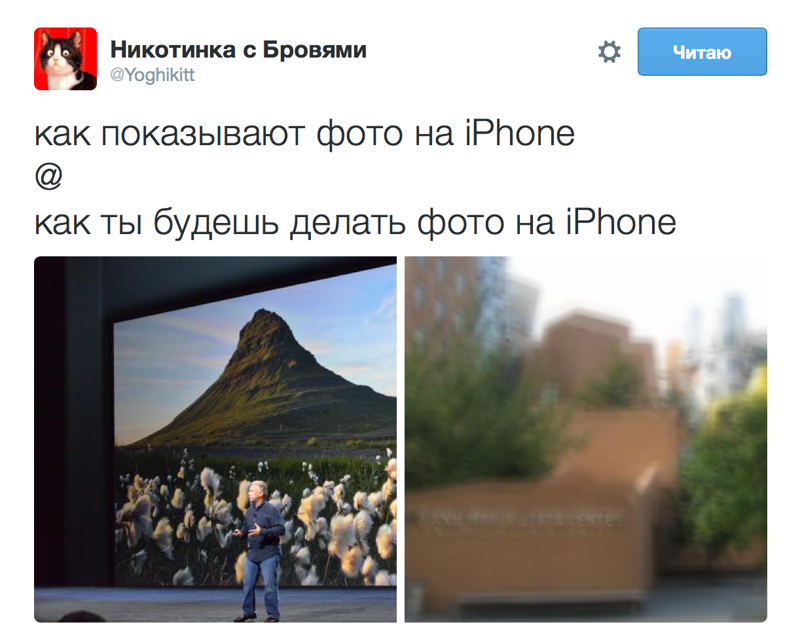 7. apple, iphone, , 
