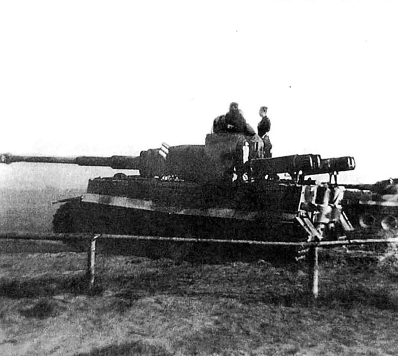 «Самогонные» Panzerkampfwagen (26 фото)