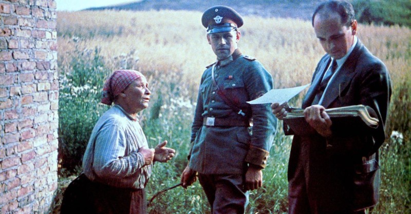 Цыганский холокост - тайный кошмар истории (12 фото)
