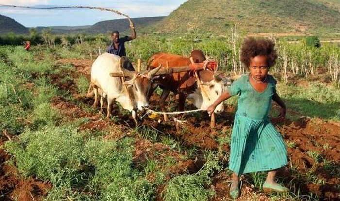 Утопия по-африкански: Эфиопская деревня, где феминизм является законом (11 фото)