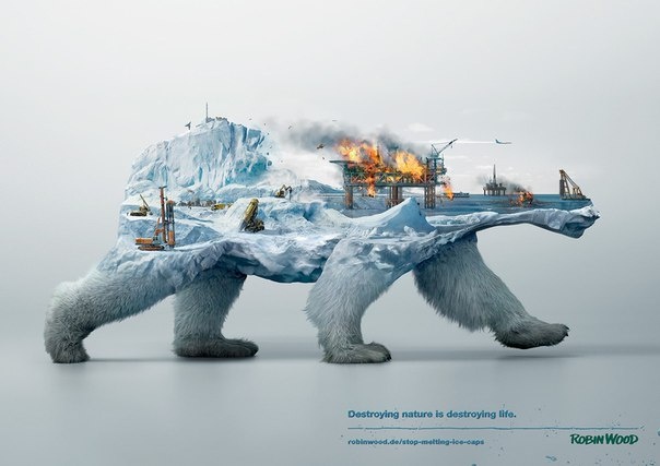  Destroying nature is destroying life (3 )
