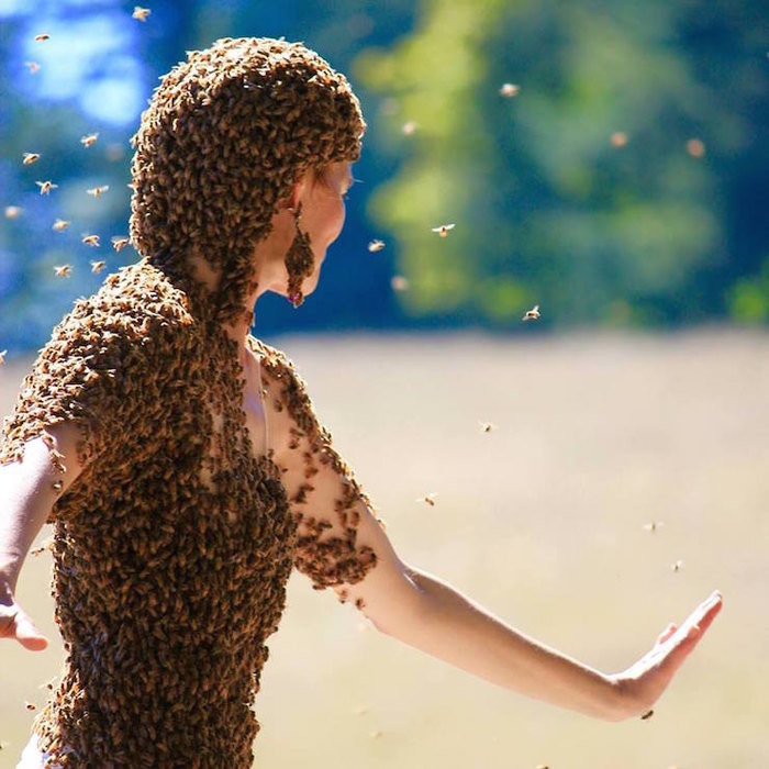 Девочка получила способность исцелять людей и животных. Женщина пчела. Королева пчел. Человек пчела.