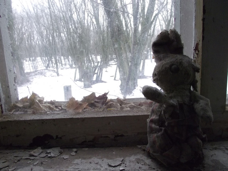Чернобыль 30 лет спустя 2015. Жизнь в Чернобыли 30 лет спустя.