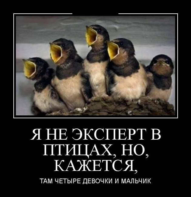 http://cn15.nevsedoma.com.ua/photo/15/1507/501_files/demotivatory_01.jpg