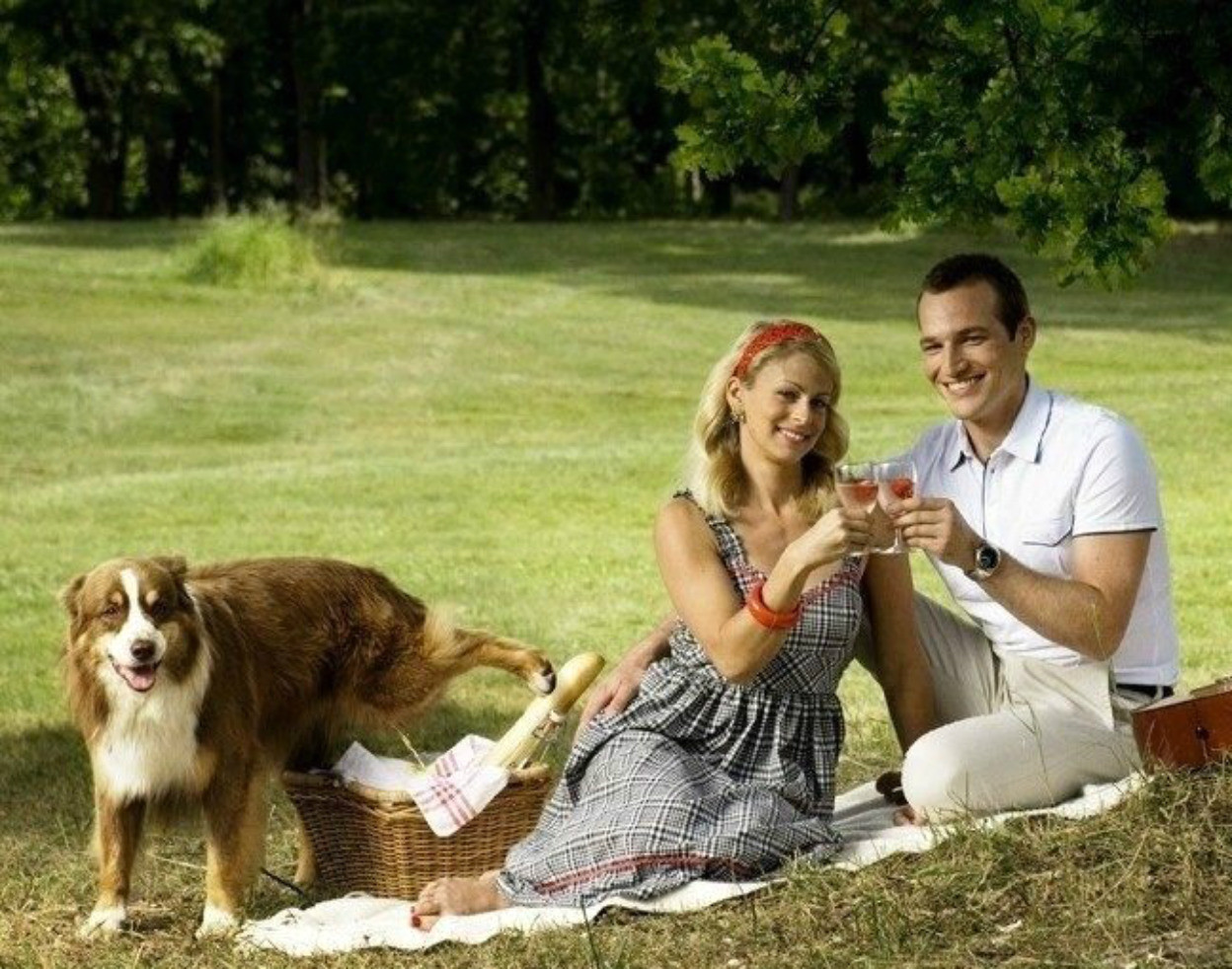 Рассказы муж жена собака. Пикник с собакой. Щенки на пикнике. Собака на заднем плане.