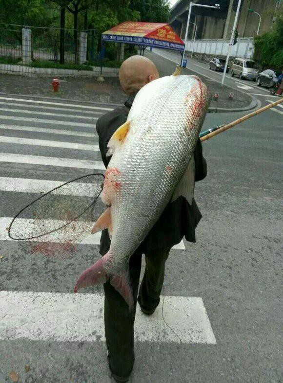 Мужик поймал рыбу